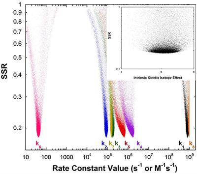 Carbon Acidity in Enzyme Active Sites